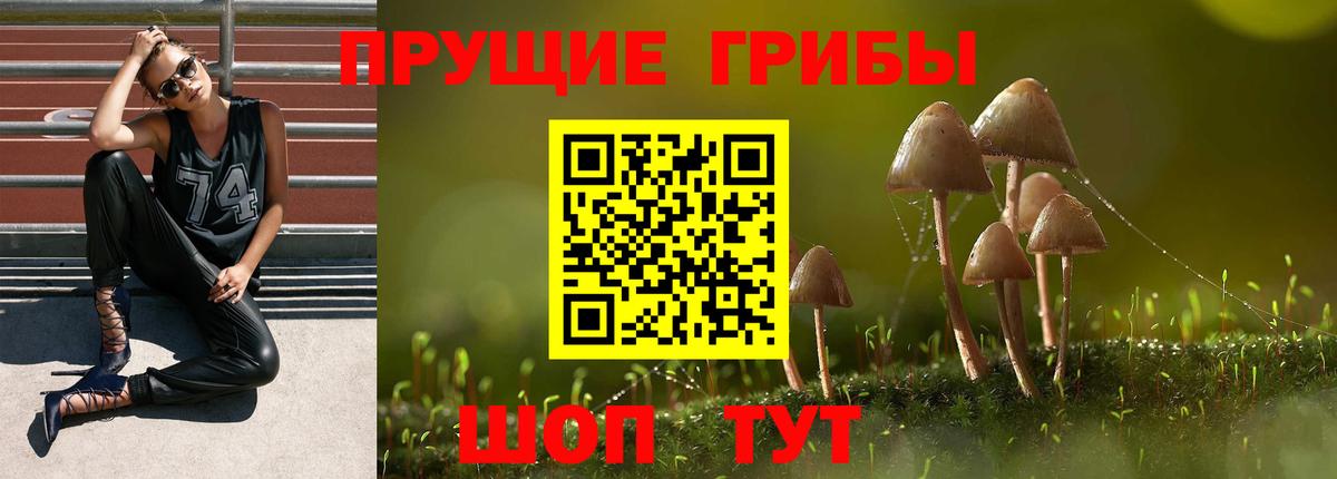 Псилоцибиновые грибы Magic Shrooms Вышний Волочёк
