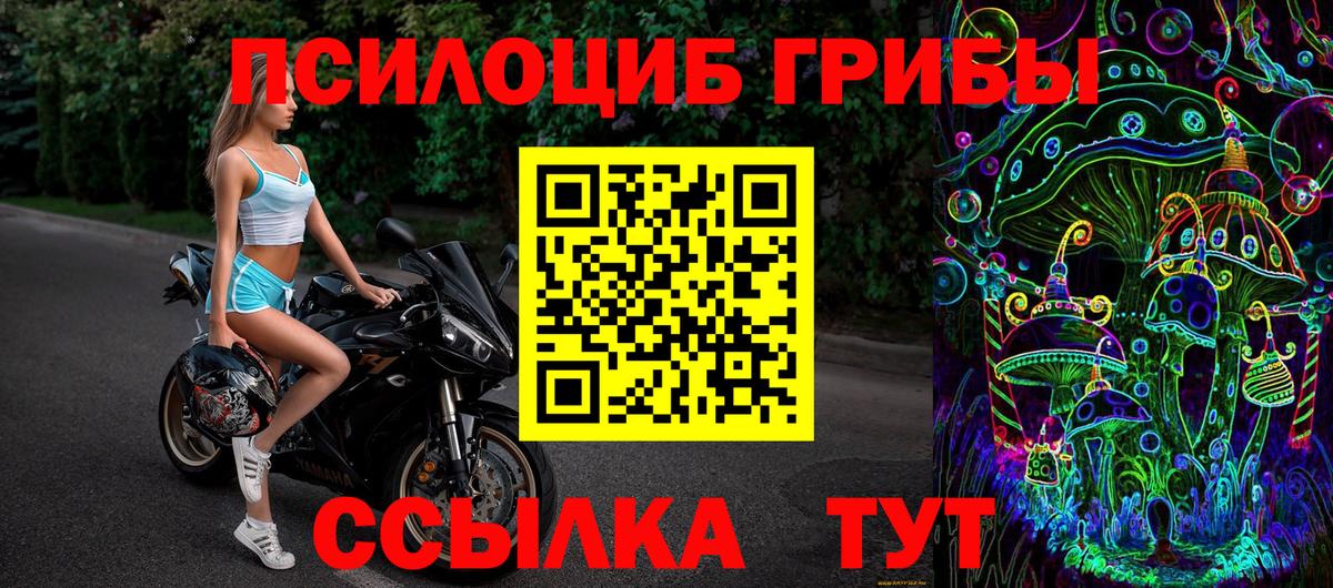 наркота  Псилоцибиновые грибы мицелий  Вышний Волочёк  Вход с VPN  Псилоцибиновые грибы Cubensis 